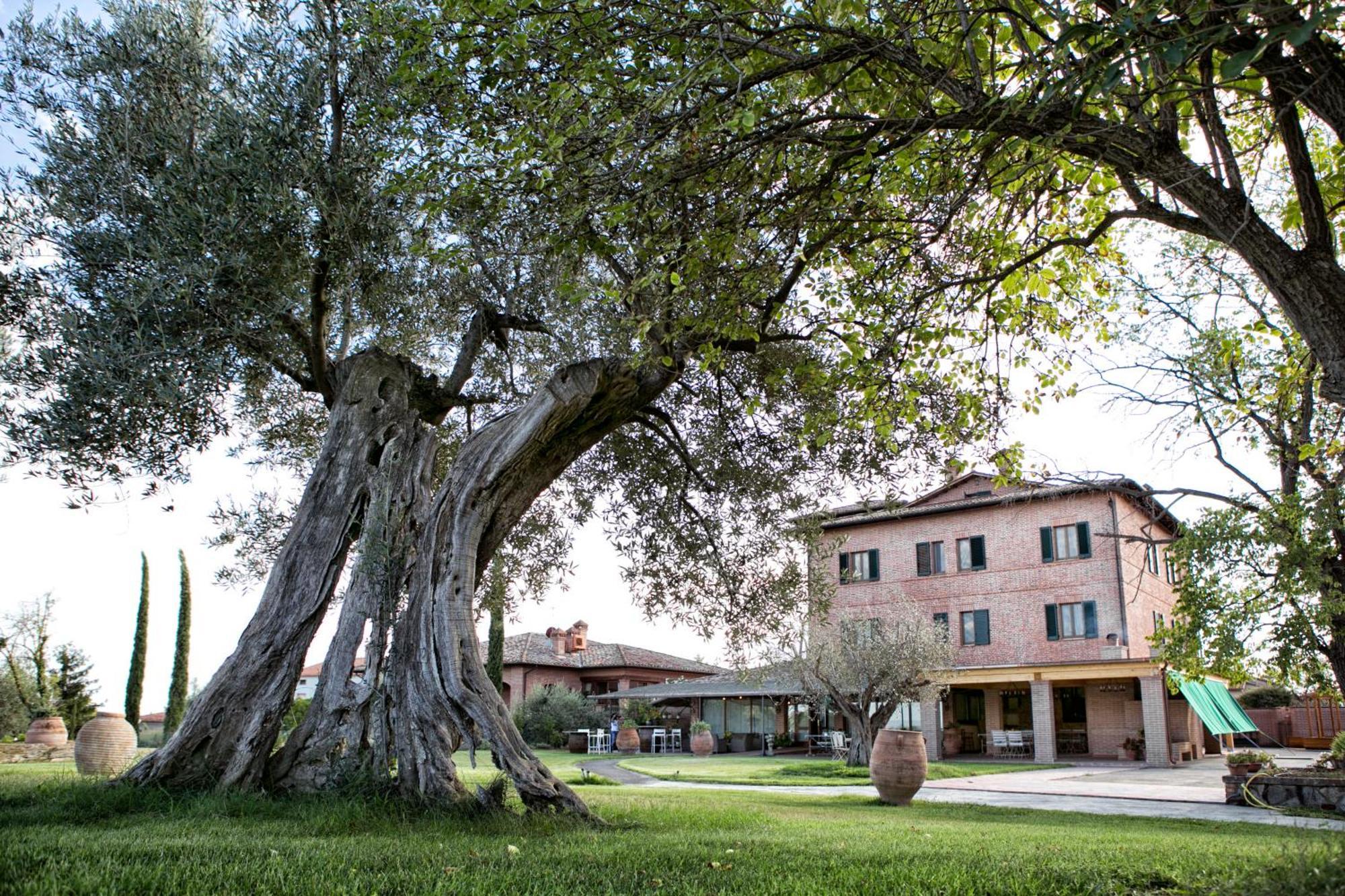 Locanda Poggioleone Castiglione del Lago Eksteriør billede